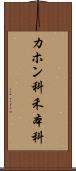 カホン科 Scroll