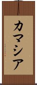 カマシア Scroll