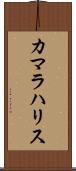 カマラハリス Scroll
