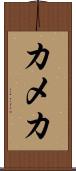 カメカ Scroll