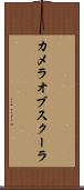 カメラオブスクーラ Scroll