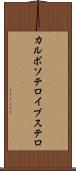 カルボソテロイブステロ Scroll
