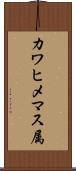 カワヒメマス属 Scroll