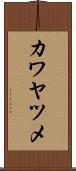カワヤツメ Scroll