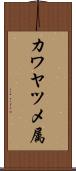 カワヤツメ属 Scroll