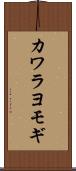 カワラヨモギ Scroll
