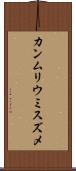カンムリウミスズメ Scroll