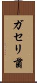 ガセリ菌 Scroll