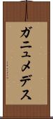 ガニュメデス Scroll