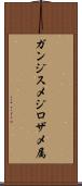 ガンジスメジロザメ属 Scroll