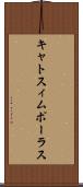 キャトスィムポーラス Scroll