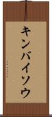 キンバイソウ Scroll
