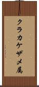 クラカケザメ属 Scroll