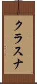 クラスナ Scroll