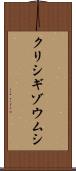 クリシギゾウムシ Scroll