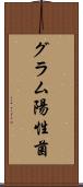 グラム陽性菌 Scroll