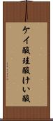 ケイ酸 Scroll