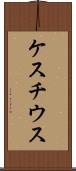 ケスチウス Scroll