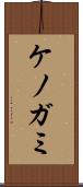 ケノガミ Scroll