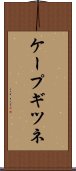 ケープギツネ Scroll