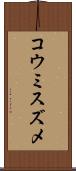 コウミスズメ Scroll