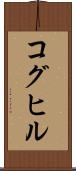 コグヒル Scroll