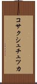 コサクシュチュツカ Scroll