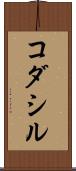 コダシル Scroll