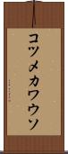 コツメカワウソ Scroll