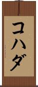 コハダ Scroll