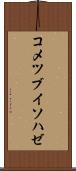 コメツブイソハゼ Scroll