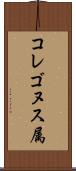 コレゴヌス属 Scroll