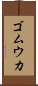 ゴムウカ Scroll