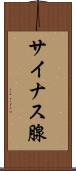 サイナス腺 Scroll