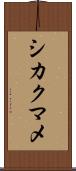 シカクマメ Scroll