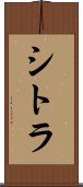 シトラ Scroll