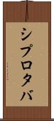 シプロタバ Scroll