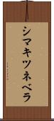 シマキツネベラ Scroll
