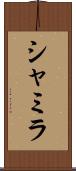 Shamila Scroll