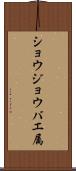 ショウジョウバエ属 Scroll