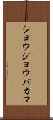 ショウジョウバカマ Scroll