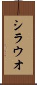 シラウオ Scroll