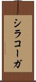 シラコーガ Scroll
