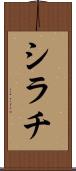 シラチ Scroll