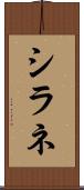 シラネ Scroll