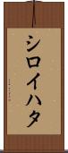 シロイハタ Scroll