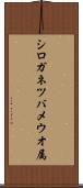 シロガネツバメウオ属 Scroll