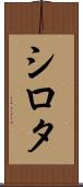 シロタ Scroll