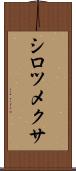 シロツメクサ Scroll
