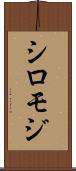 シロモジ Scroll
